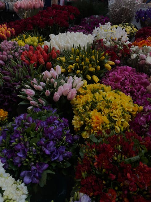 A vibrant and diverse display of fresh floral bouquets featuring a variety of flowers including purple irises, pink tulips, yellow lilies, red roses, white chrysanthemums, and purple asters. The flowe