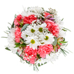 A radiant bouquet designed by Shadwell Florist bursts with cheerful white daisies, bright coral-pink carnations, and an airy sprinkle of baby's breath, all artfully set against a pristine backdrop that highlights their natural beauty. Each daisy's bright white petals open boldly around lime-green centers, offering a symbol of optimism and new beginnings. Layered among them, plush, frilly carnations in vibrant coral-pink create depth and movement reminiscent of joyful occasions celebrated near Watney Market. Delicate gypsophila drapes softly throughout, its tiny blossoms lending a light touch and clouds of gentle volume. Hints of closed alstroemeria buds, brushed with purple and rose, emerge from the lush foliage - eucalyptus in cool sage tones and dark, glossy greens, which give structure and rhythmic balance. The bouquet's harmonious, circular shape conveys a sense of completeness and intention, designed to make birthdays brighter, anniversaries more special, or everyday moments a little more beautiful for Shadwell residents. Fresh from the hands of local experts, this arrangement brings an uplifting, tranquil energy to homes and celebrations throughout the neighbourhood.